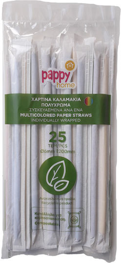 Pappy Home Strohhalme Papier Mehrfarbig 25 Stück