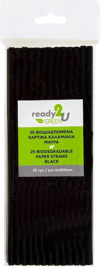 Ready 2u Paie De Băut Biodegradabile Din Hârtie Negre 25 Bucăți 6-73146