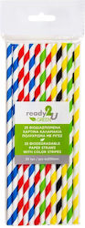 Ready 2u Biodegradable Paper Straws Striped 25 Pieces 6-73147 Ready 2u Biodegradable Paper Straws Striped 25 Pieces 6-73147