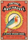 Vintage Matchboxes, A Little Sticker Book, Over 100 Stickers
