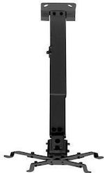 Sunne Pro02 Sunne Pro02