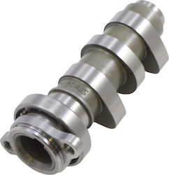 Vertex Arcuri supapă cap motor motocicletă Vertex Arcuri supapă cap motor motocicletă