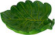 Reptile Nova Купа за Терариум Размер 15x13,5x3,5см