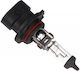 Maxgear Λάμπα Αυτοκινήτου 12V 51W