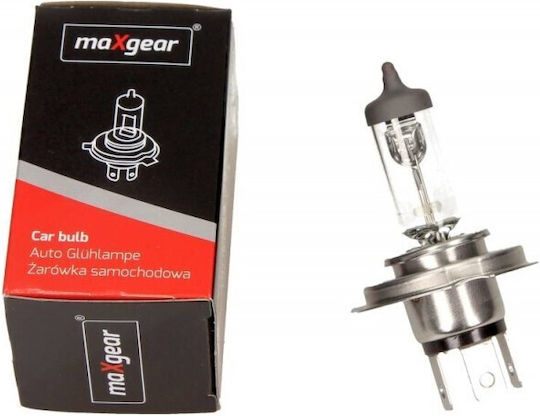 Maxgear Maxgear Autolampen H4 12V