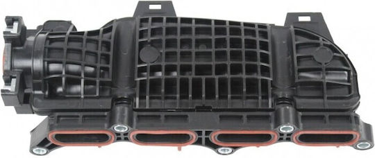 Συλλέκτης Εισαγωγής Honda Civic 17100-5aa-004