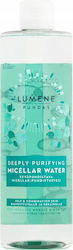 Lumene Puhdas Micellar Water Face Makeup Remover 400ml Lumene Puhdas Micellar Water Face Makeup Remover 400ml
