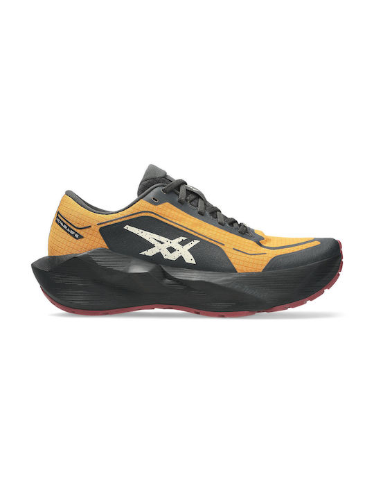 ASICS Novablast 6 Gtx Ανδρικά Running Gore-Tex Brw