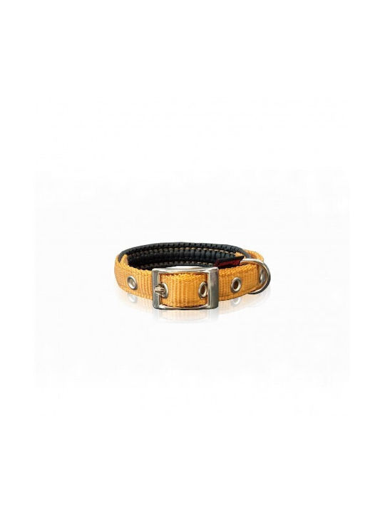 Pet Interest Dog Collar Neoprene Fluo Yellow 40cm X 1.6cm S