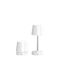 Decorative LED Lamp Natural White