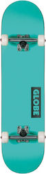 Globe Goodstock 10525351-WTRFLL Complete Shortb...