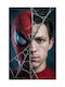 Poster Marvel Studios Spider-man Mv312 50cm X 70cm-71782pd159169