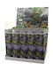 Wisteria Chineză Ø9cm Ø9 Cm
