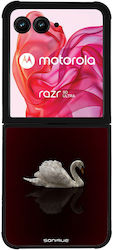 Sonique Diva Series Case Motorola Motorola Razr...