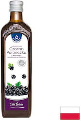 Oleofarm Χυμός Black Currant 490ml Oleofarm Χυμός Black Currant 490ml