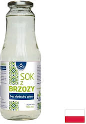 Oleofarm Χυμός Birch 990ml