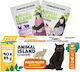 Animal Island Hrana Pentru Pisici Cu Pui Miel Și Prepeliță Fără Cereale 40x85gr