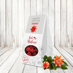 Pomegranate Flower 10g
