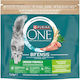 Purina One Dry Cat Food
