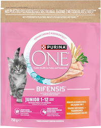 Purina One Dry Cat Food for Kittens with Chicken 0.75kg Purina One Dry Cat Food for Kittens with Chicken 0.75kg