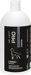 Dr Lucy Shine Short Hair Dog Shampoo 1l