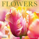 Flowers Mini - Willow Creek Press - Paperback