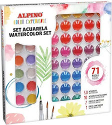 Alpino 71 Culori