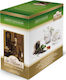 Sir William's Green Tea 50 Bags