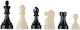 DGT Schach