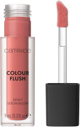 Catrice Cosmetics Flush Liquid Ρουζ 9ml