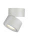 Inlight LED Спот С 10 Светлини В Бял Цвят
