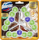 Domestos Badezimmerreiniger Toilette Mit Duft Frische 3x50gr