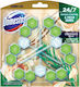 Domestos Bloc Toaletă 3x55g