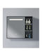 Phoebe Rectangular Bathroom Mirror Led Touch with Shelf and Cabinet 80x70cm Black