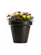 Srtia Riflo Mokka Planter H33.9x39 Cm
