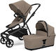 Thule Sleek 2 Reglabil Cărucior 2 în 1 Potrivit...
