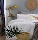 Hotel Sheet White Sense Cotton Satin Stripe 2 Cm 240tc 245x290