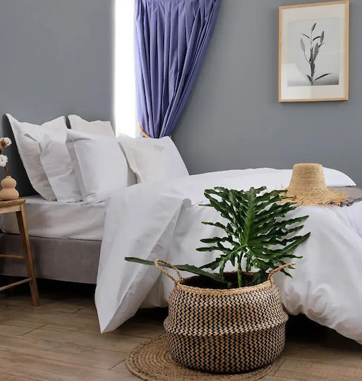 Cokitex Hotel Duvet Cover Cotton Striped 245x265cm