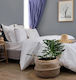 Cokitex Hotel Duvet Cover Cotton Striped 165x245cm