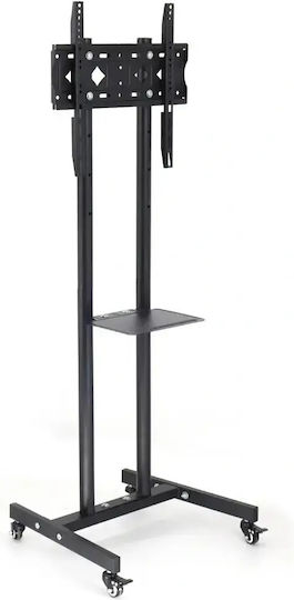 Noozy Noozy Boden TV-Halterung Bis 25kg Silber