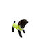 Hundeshirts Woofmoda Gelbe XS 32 – 36 – 28 cm