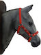 Pony Reitaccessoires Sattelgurt 001718