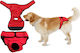 Value Imports Waterproof Dog Period Panties Small 1pc
