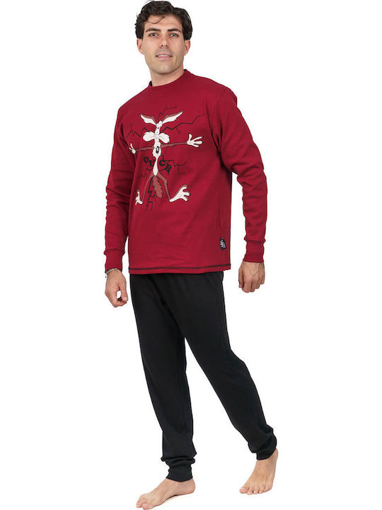 Sara Winter Herrenpyjama Baumwollene Burgundisch 1302-bordo