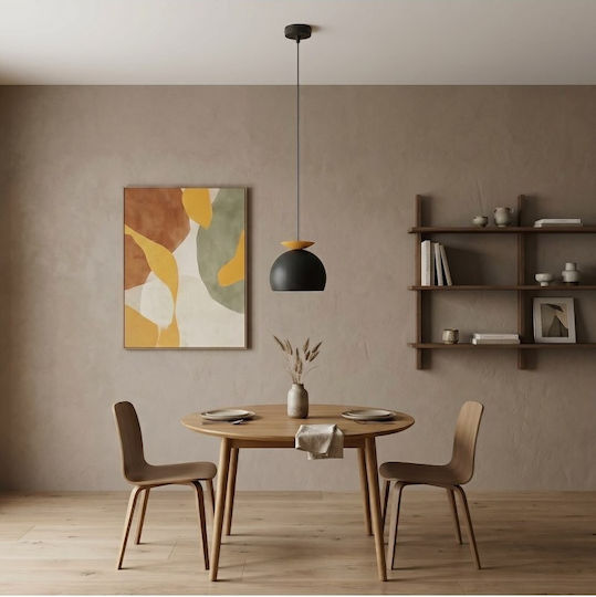 Emibig Black Pendant Ceiling Light