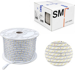 Christmas Tube Light 2835 White 100m Christmas Tube Light 2835 White 100m