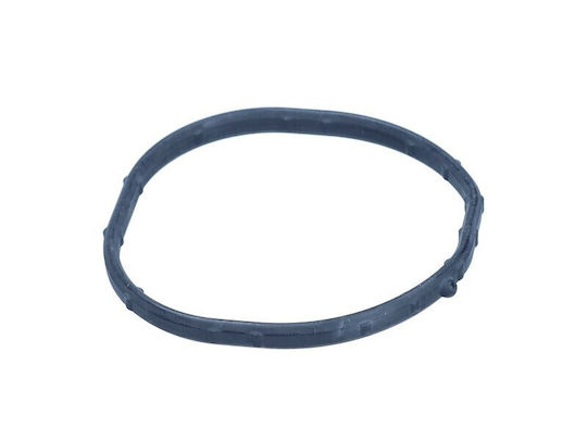 Thermostat Housing Gasket Kia Sportage 2.0 11 256412g500