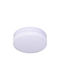 Ceiling Light