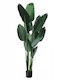 Boltze Weihnachtskranz Dekoratives Blume Länge 185cm