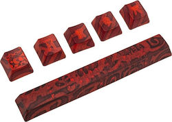 TRDHU6124